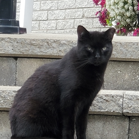 Meet your Posher, Myriam - Picture 1 of 1